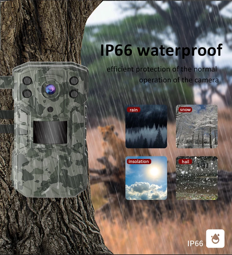 High Resolution 4G Hunting Camera Animal Trail Camera Outdoor Solar Panel Video and Picture Available