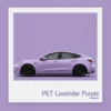 Lavanda Púrpura