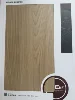 Boloni Elm
