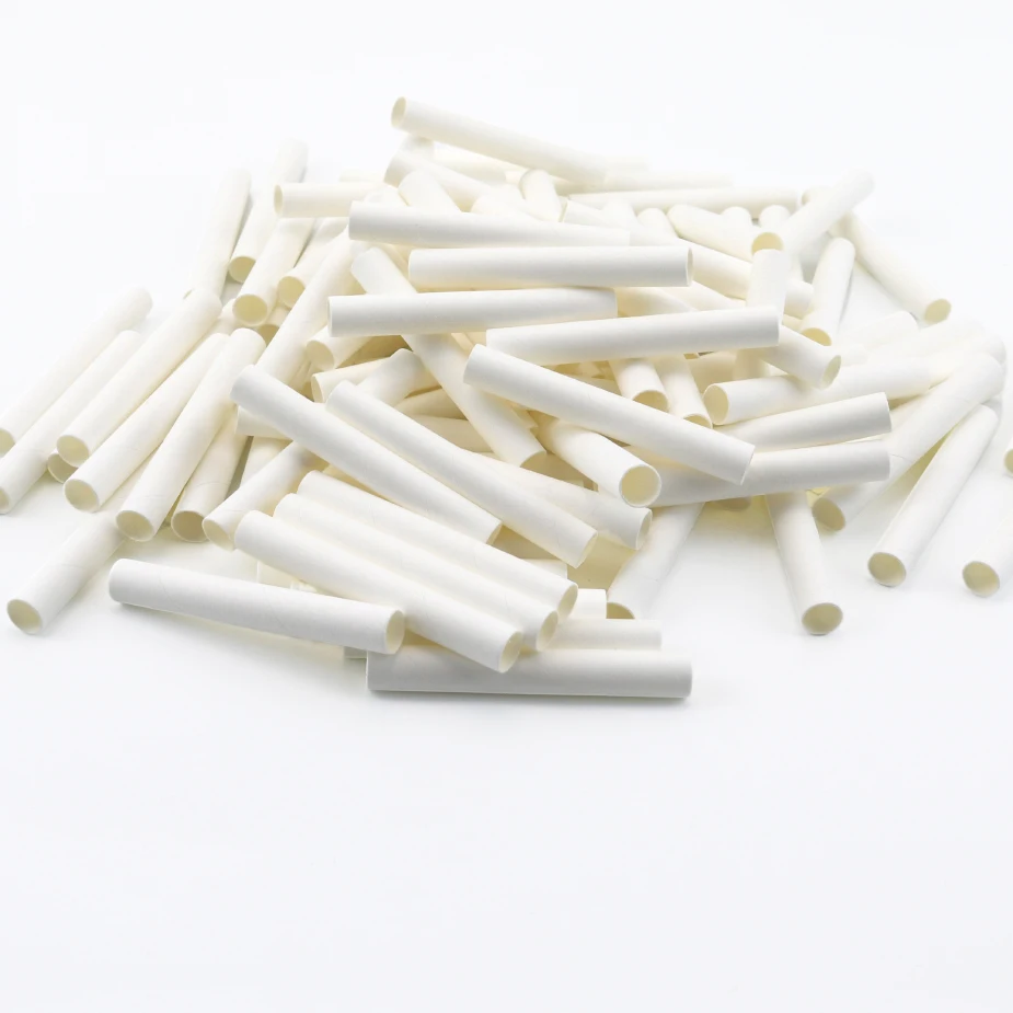 non combusted cigarettes Non-Combusted Smoking Accessories HNB Heated Tobacco Sticks HTP Heat Not  Burn Paper Hollow Tube for Electric Cigarette Smoking