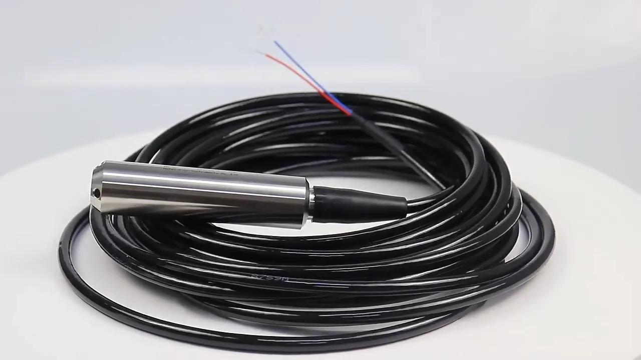 Rs485 Modbus Rtu 28mm Dia Probe Submersible Groundwater Level Probe For