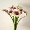 Calla lily picasso 1 tie 10 sticks