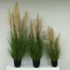 Green4