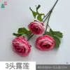 ดอกบัวน้ำค้าง 3 หัว HN สีชมพูเข้ม