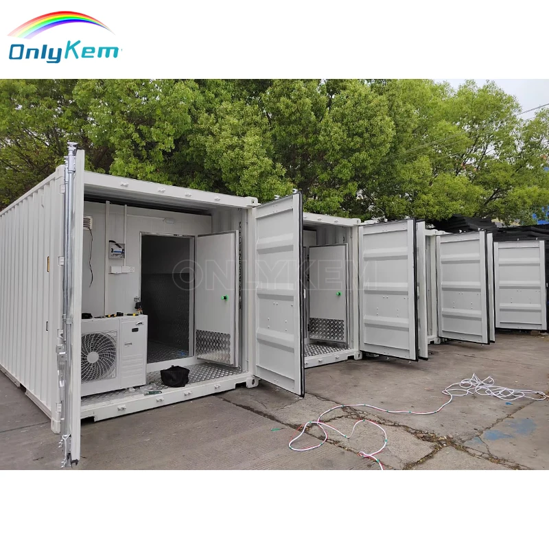 Plug Play 20FT/40HQ Container Chiller Room Cold Storage Refrigerated  Container Price
