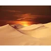 917 desert dusk