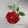 Rose frisée - Rouge
