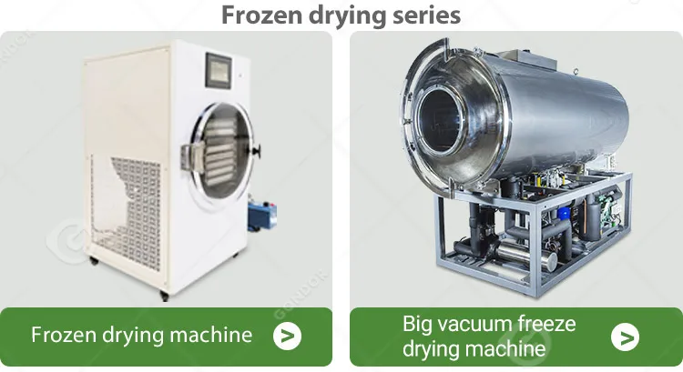 Liquid Dryer Food Maker Small Lyophilizer Vacuum Freezing Drying Machine Portable to Freeze Dry