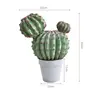 Piccola palla di cactus a doppia testa in velluto rosso
