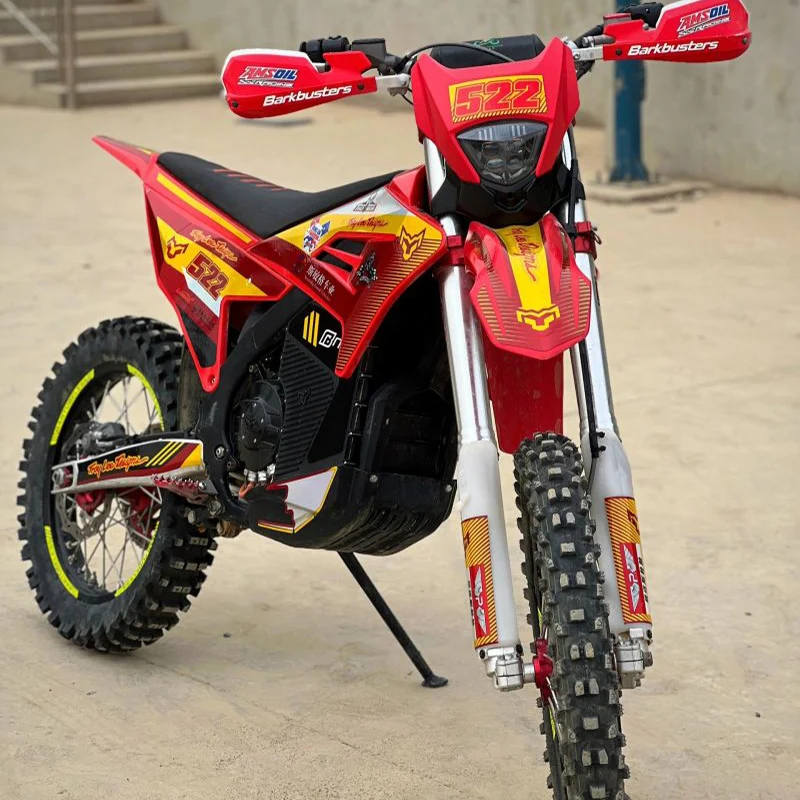 エイプ Arctic Leopard EXE880 - High Performance Electric Dirt Bike