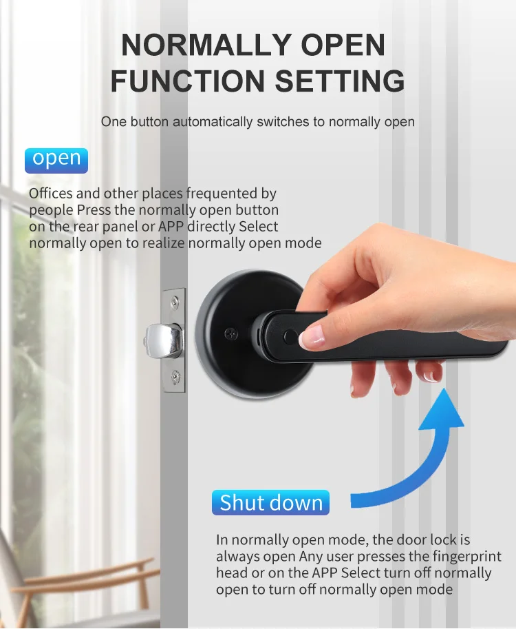 Biometric Fingerprint Password Electric Handle Door Lock Bedroom Home
