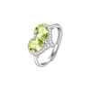 JH0412-4Olivine