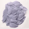 สีเทา