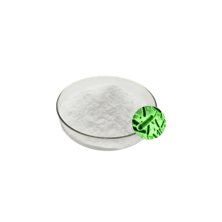Pentose Tablets Cocci Probiotic Freeze-dried Powder 100 Billion Two-time Multi-layer Freeze-dried Lactic Acid Bacteria Powder