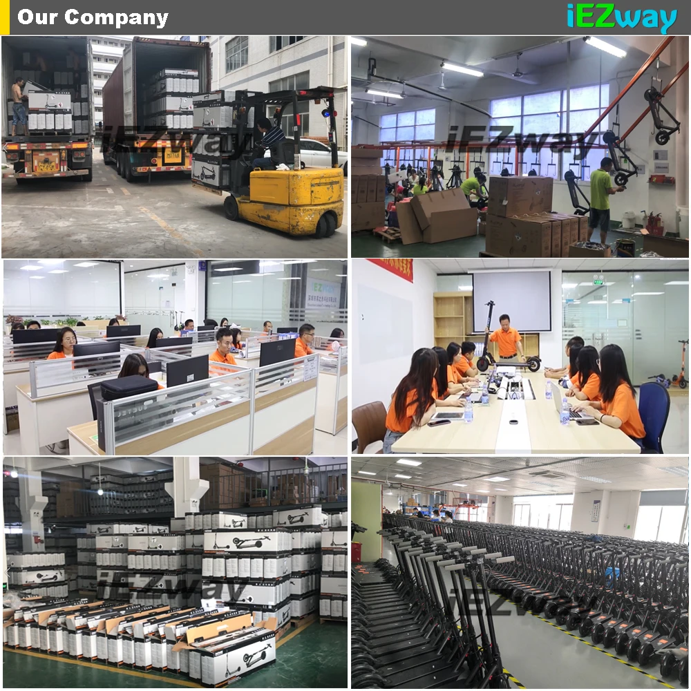 Our company