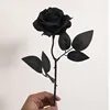Gomito rosa nera pura