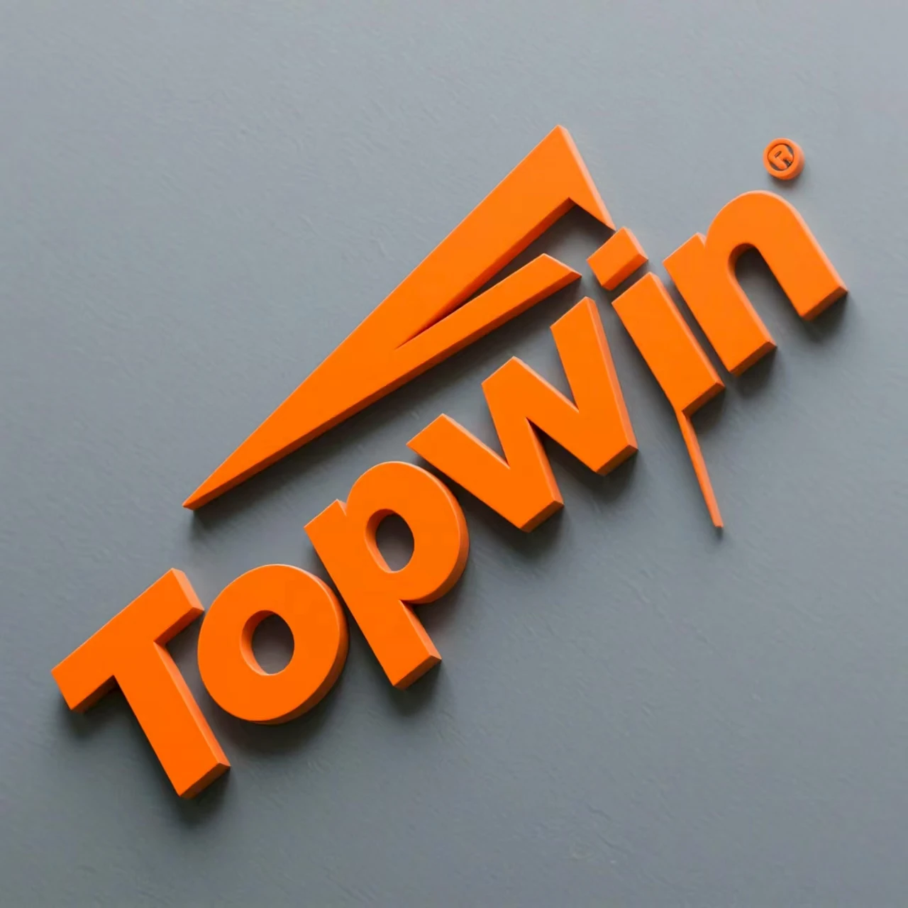 TOPWIN STAINLESS STEEL PRODUCTS LIMITED Logo