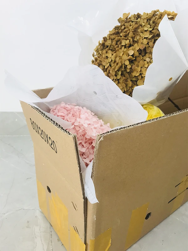 Wholesale Dry Hydrangea Dried Flowers Big Cream Preserved Plants