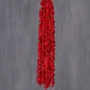 One meter of red orchid clusters
