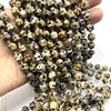 Dalmation jasper