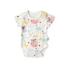 koala star dream