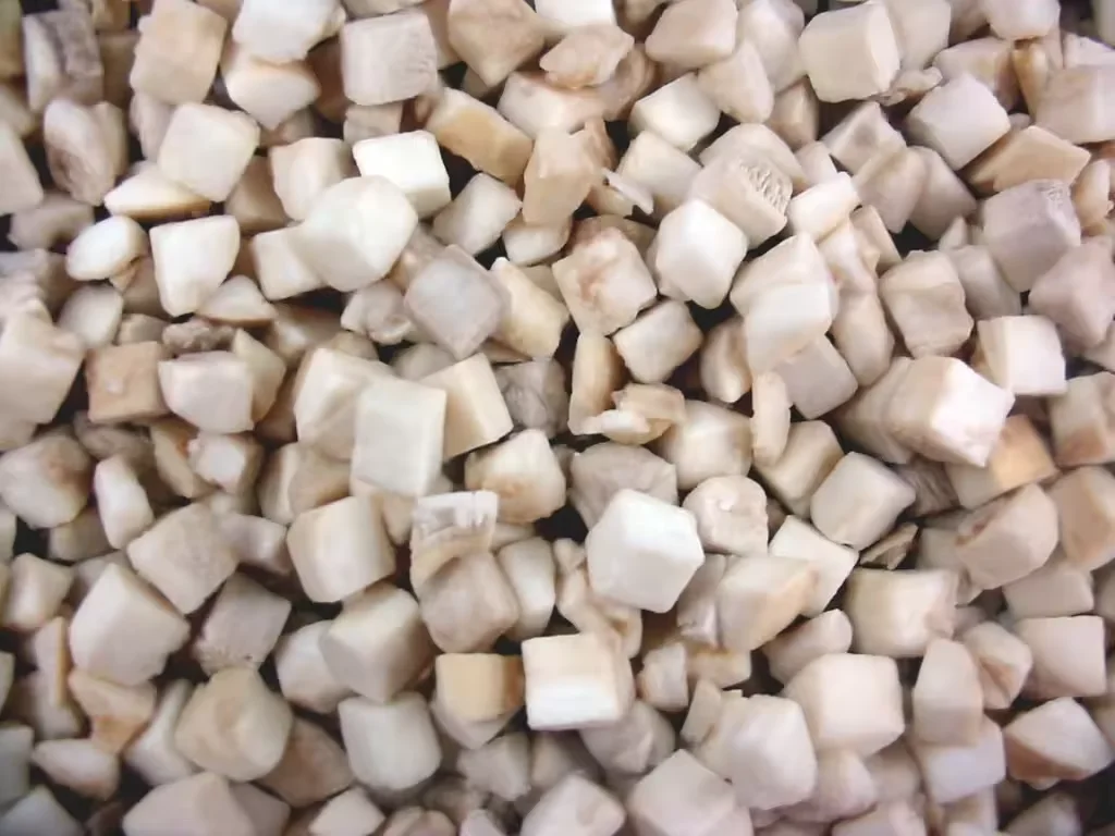 2025 China Supplier Export IQF Vegetables Frozen oyster Mushroom With Good Price