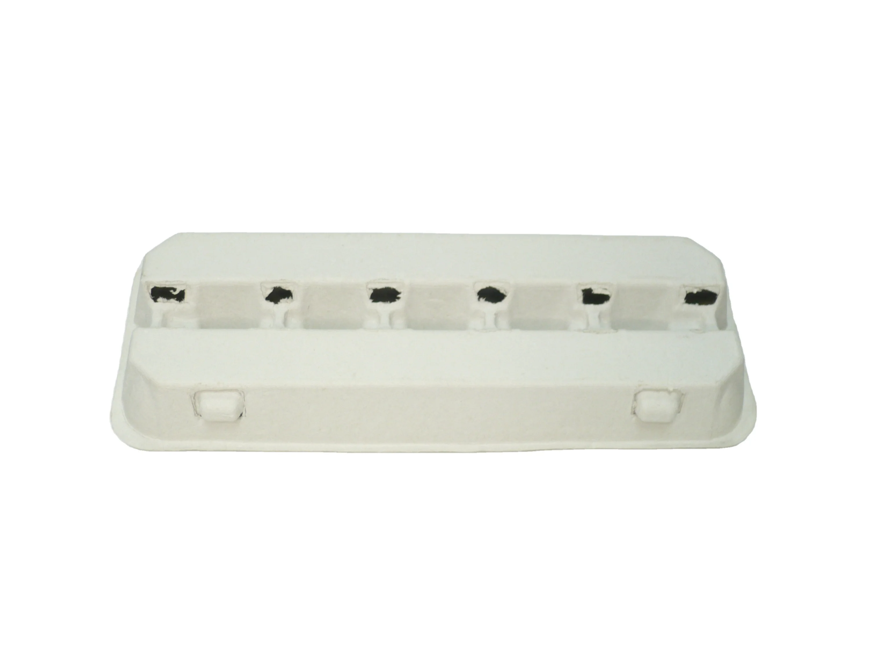 12 holes egg carton white 2.JPG