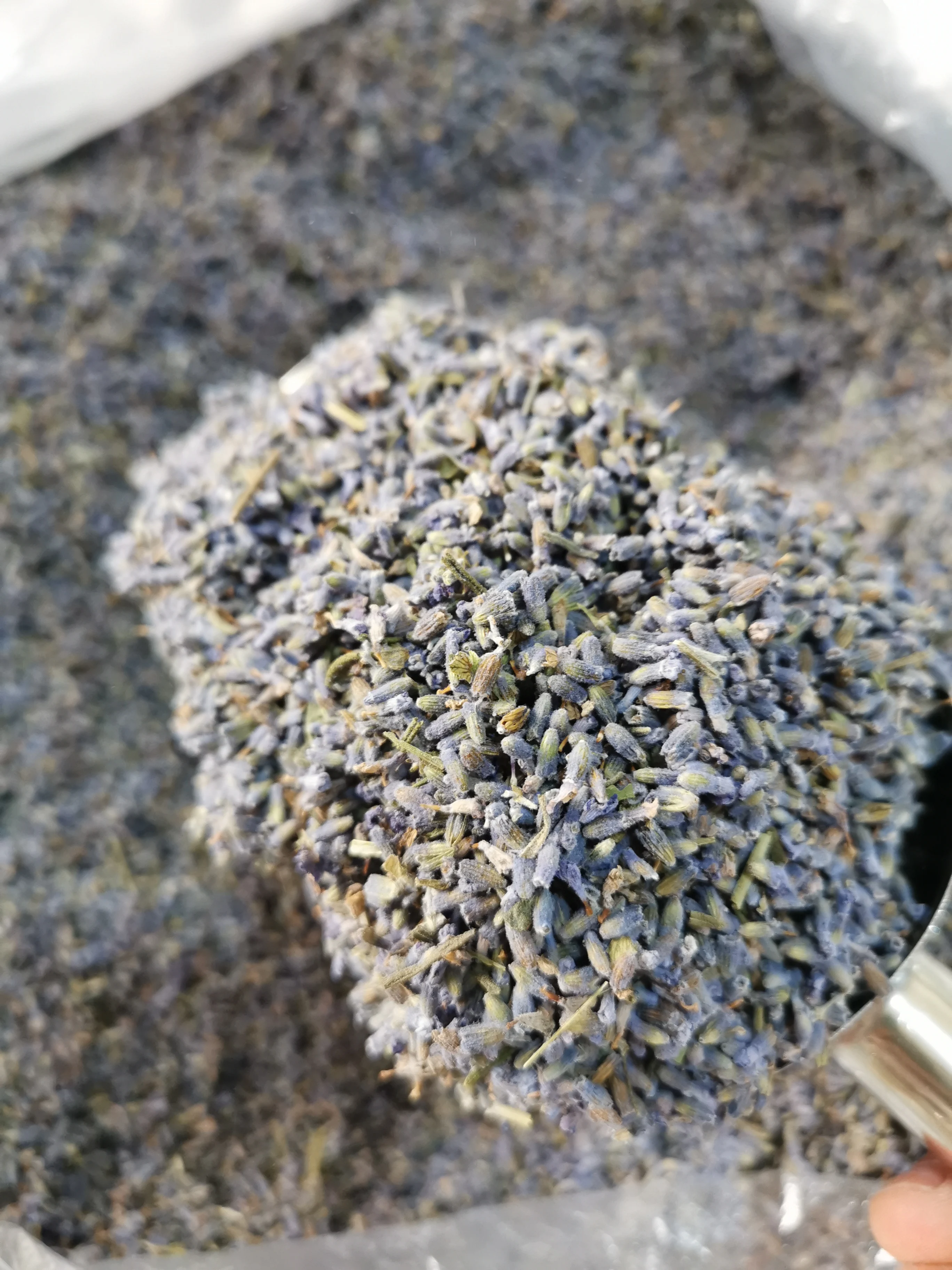 Flor De Lavanda Orgânica Seca De Grau Alimentício,Flor De Lavanda Orgânica  Em Estoque - Buy Dried Herbs Lavender Flower Tea Herbal Lavender Flower Dry  Lavender Flowers Buds,Dried Lavender Flower Organic Tea Herbal