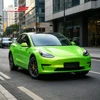 TPU Fantastic Gold Green