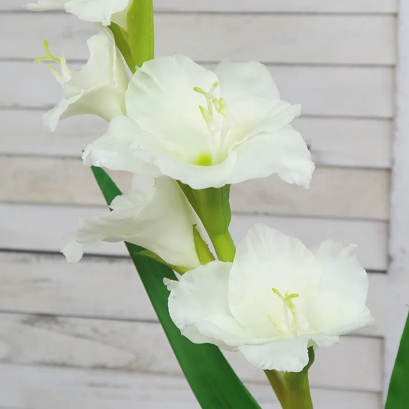 100cm Echt Aussehende Knstliche Gladiolen-Blume Realistische Kunstblumen Knstliche  Gladiolen-Zwiebeln| Alibaba.com