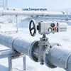 Low Temperature Electric Actuator