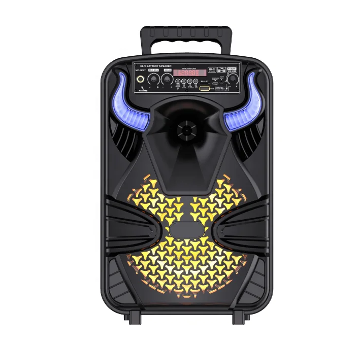 Portable Mini BT Speaker with Wired Karaoke Microphone for Home Entertainment