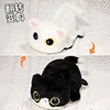 White Cat+Cow Cat