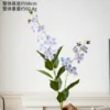 Golden Jasmine Purple Blue
