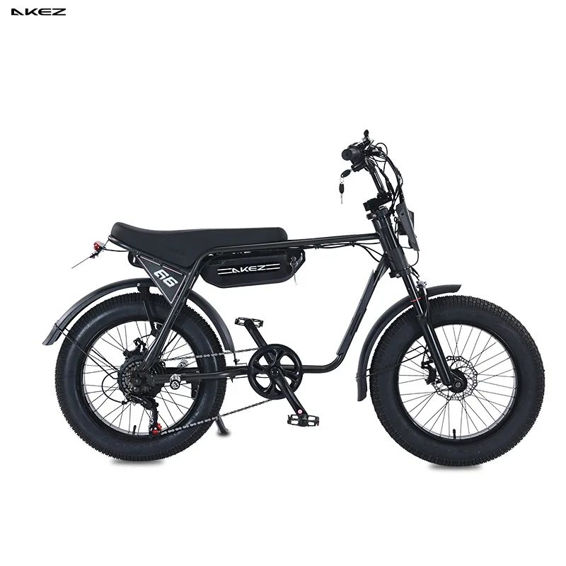 2025 ZX 20 Inch Fat Tires E-bike 48V 750W Electric Urban