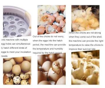 Nade cheapest YZ9-9 full automatic mini poultry chicken egg incubator