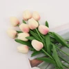 Apricot Pink