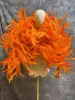 Arancione
