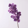 Pourpre