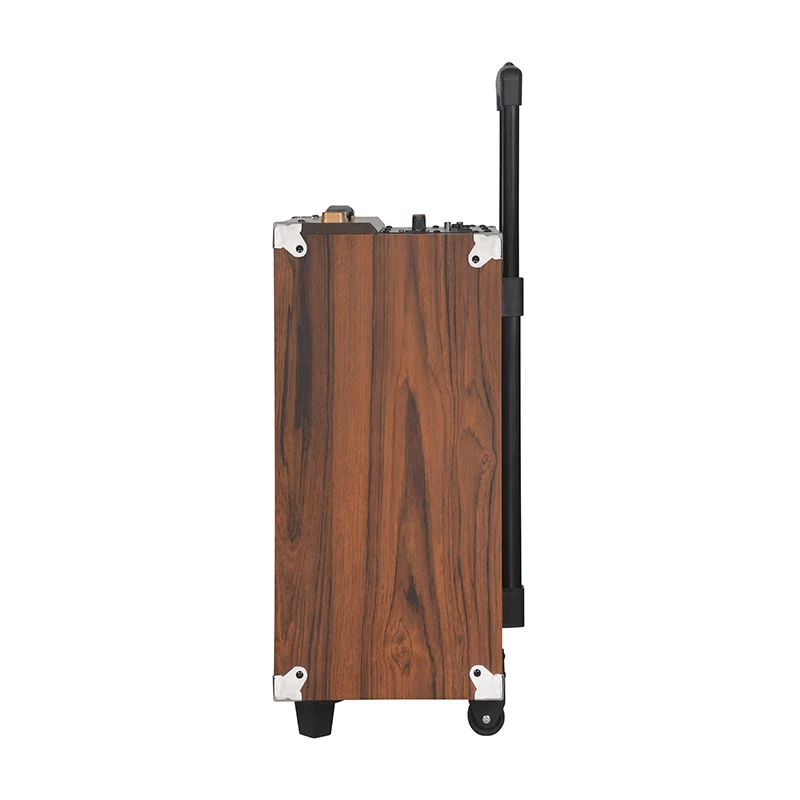 BAAB-Q8 8 Inch Mini Portable Karaoke Subwoofer Wireless Trolley Speaker with Powerful Bass and Microphone Trolley TWS  BOX AUDIO
