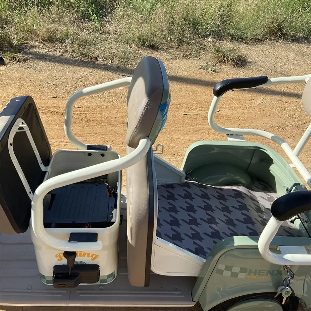 The Listing Cbu Trike Minghong Electric Car With New Design