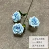 Diamante a tre teste rosa-azzurro