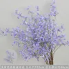 Ramas de lirio araña de color violeta claro y de ramas altas