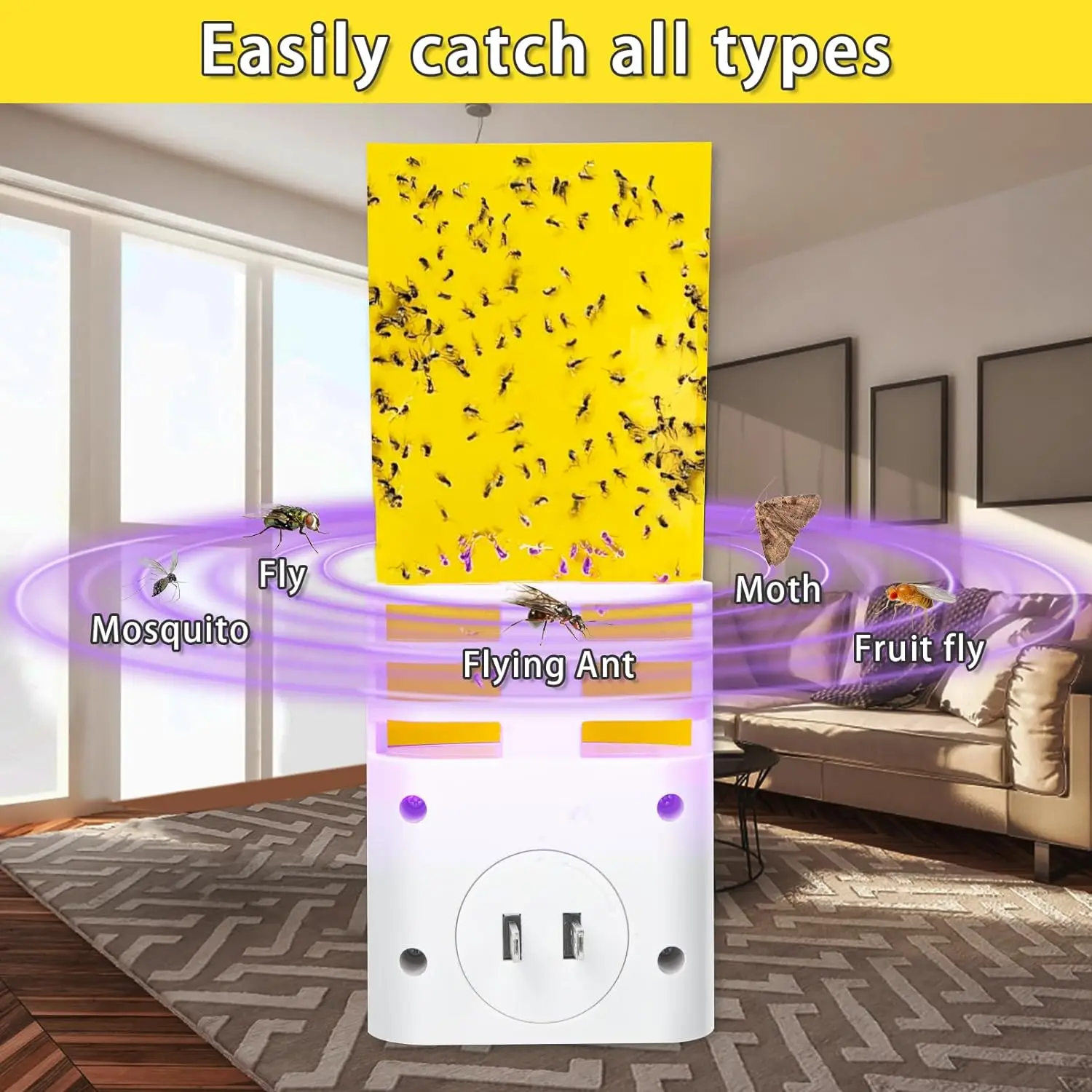 Saijzek Non-Toxic New luxury Flying Insect Trap Gnat Moths Catcher Sticky Fly Catch Trap  Uv Light Fly Trap Indoor details