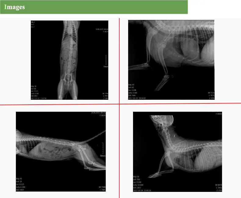 Veterinary High Dqe And High Resolution Digital X Ray Iray 1717xv Wired