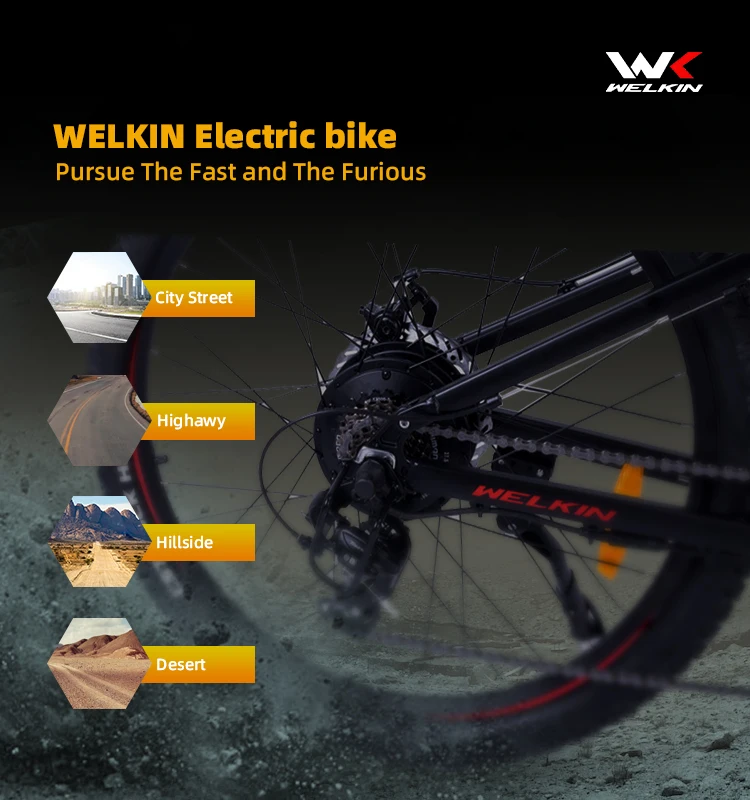 Perfection Electric Bike for Adults - 500W 15Ah Ebike with Free Shipping from EU Warehouse in 2024, Elektrische Fiets Fat Bike Electric - Image 4