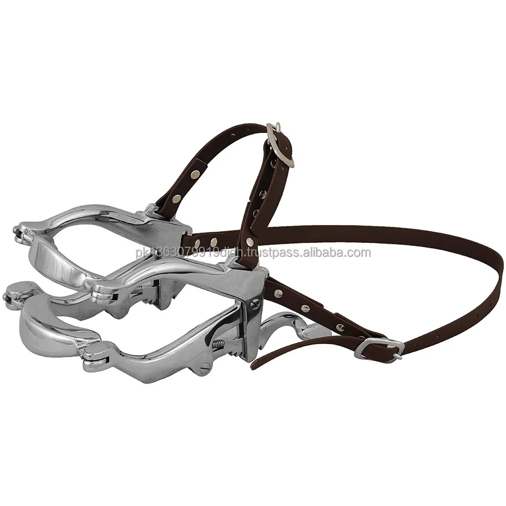 2022 Oem Horse Equipment / Mouth Speculum Haussmann With Lather Or