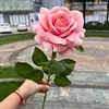 deep pink