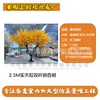 Árbol de ginkgo de doble tronco de madera maciza de 2,5 m (enlace de depósito)