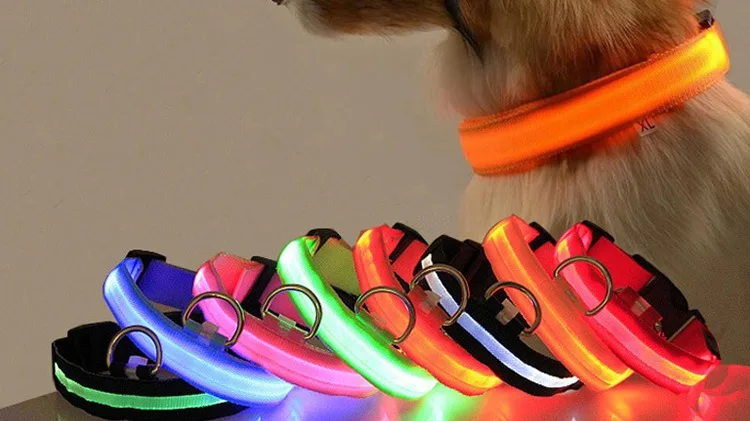Nylon LED Pets Dog Collar Night Safety Flashing Glow In The Dark Dog Leash Multi 
